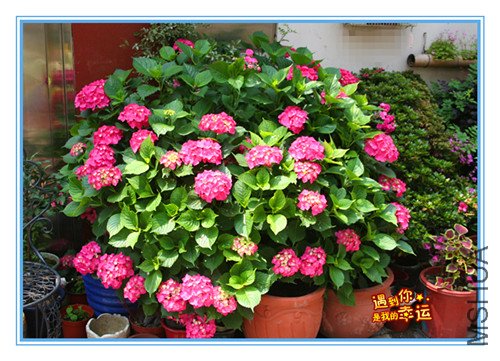 ��Ƭ 012_������1.jpg