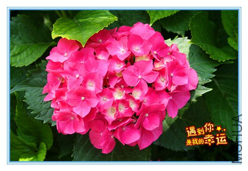 ��Ƭ 004_����8.jpg