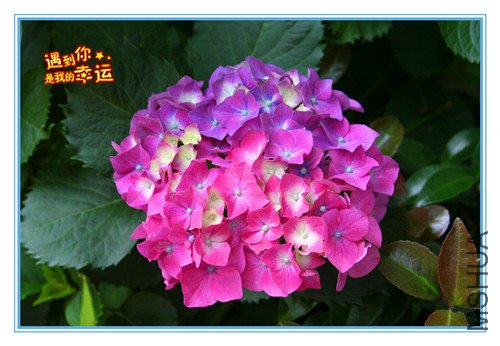 ��Ƭ 008_����8.jpg