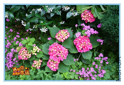 ��Ƭ 011_����4.jpg