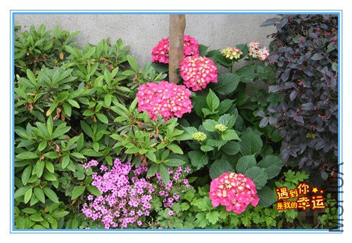 ��Ƭ 090_������1_����.jpg