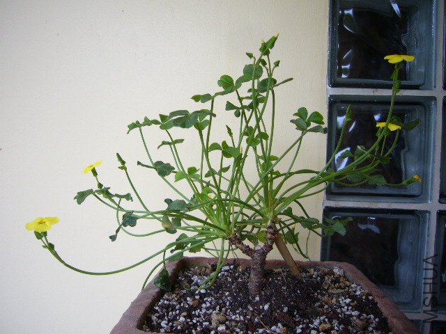 ����20120424 01.JPG