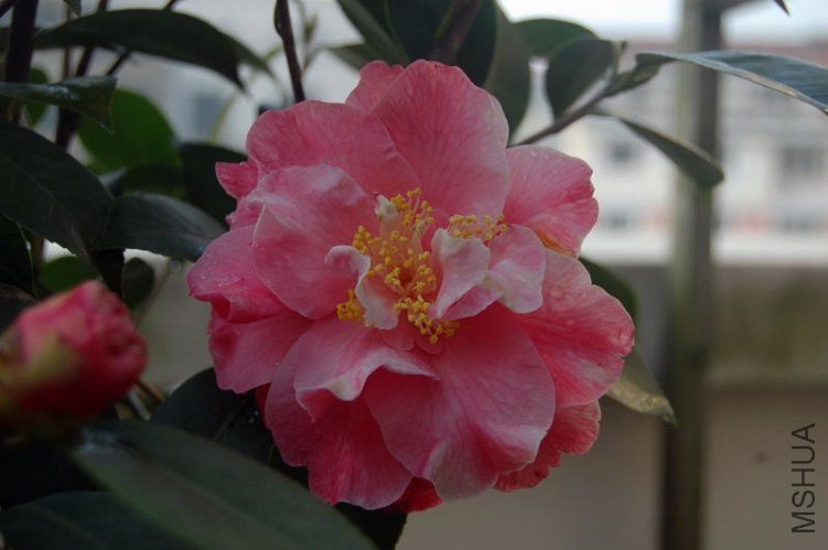 DSC_01580158.JPG