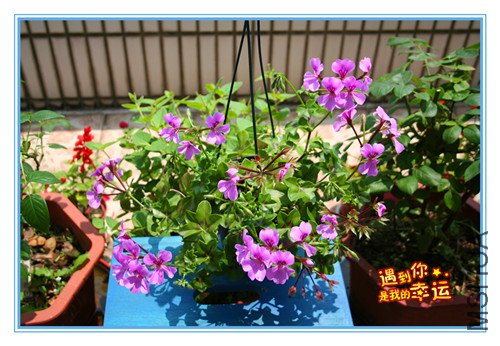 ��Ƭ 083_���������� ������.jpg