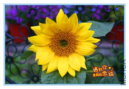 ��Ƭ 057_����2.jpg