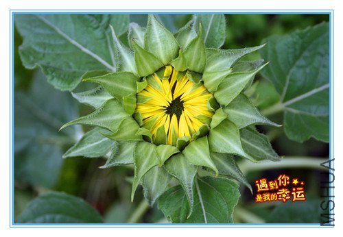 ��Ƭ 058_����3.jpg