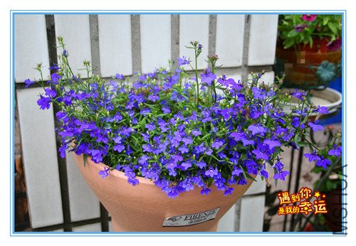 ��Ƭ 001_������1.jpg