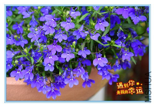 ��Ƭ 002_����2.jpg