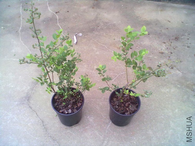 ��Ƭ 094_����.jpg