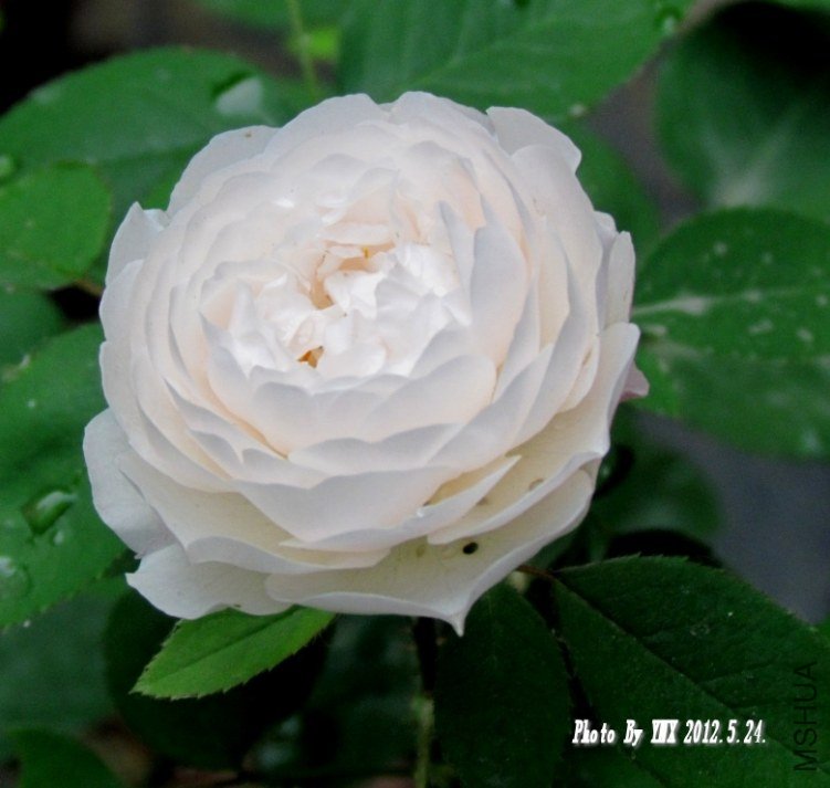 2012.5.24. 057_conew2.jpg