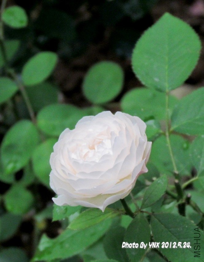 2012.5.24. 058_conew2.jpg