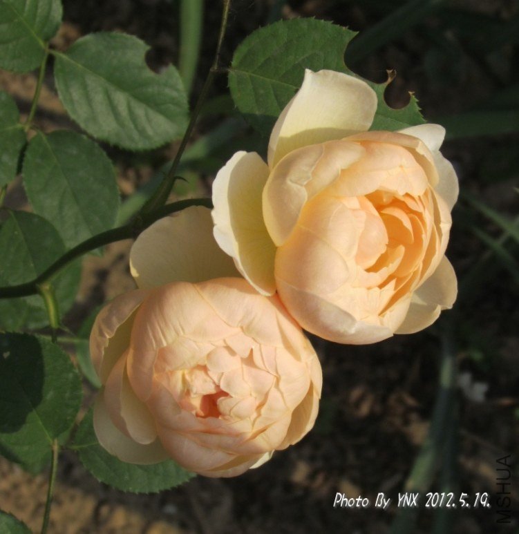 2012.5.19. 029_conew2.jpg