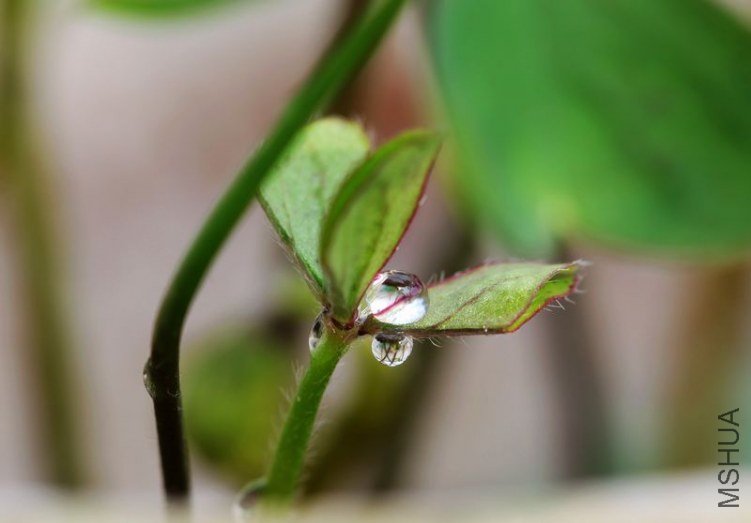 IMG_8765.2012.05.30.jpg
