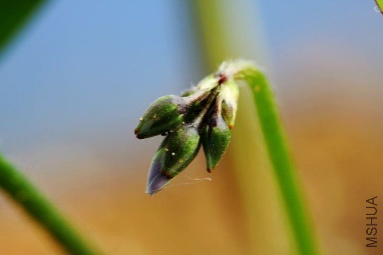 IMG_8773.2012.05.30.jpg