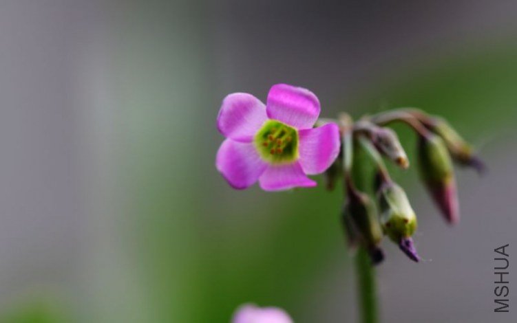 IMG_8783.2012.05.31.jpg
