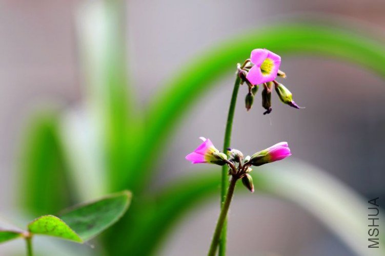 IMG_8797.2012.05.31.jpg