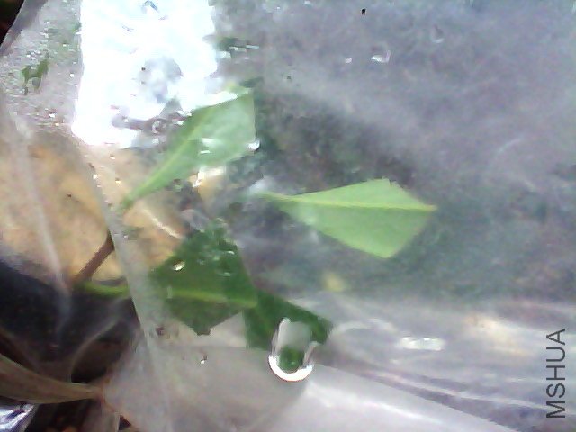 5��27�޵�һ��