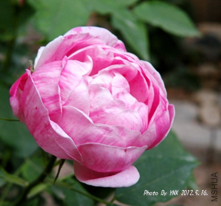 2012.5.16. 043_conew2.jpg