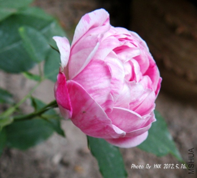 2012.5.16. 045_conew2.jpg