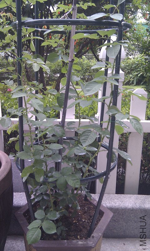 IMAG0202_����.jpg
