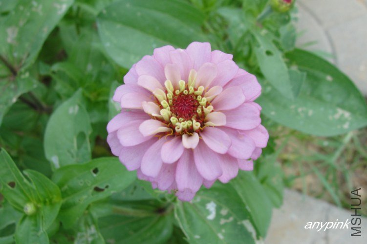 nEO_IMG_DSC04659.jpg