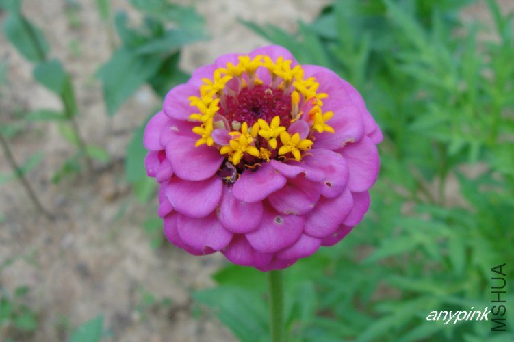 nEO_IMG_DSC04678.jpg