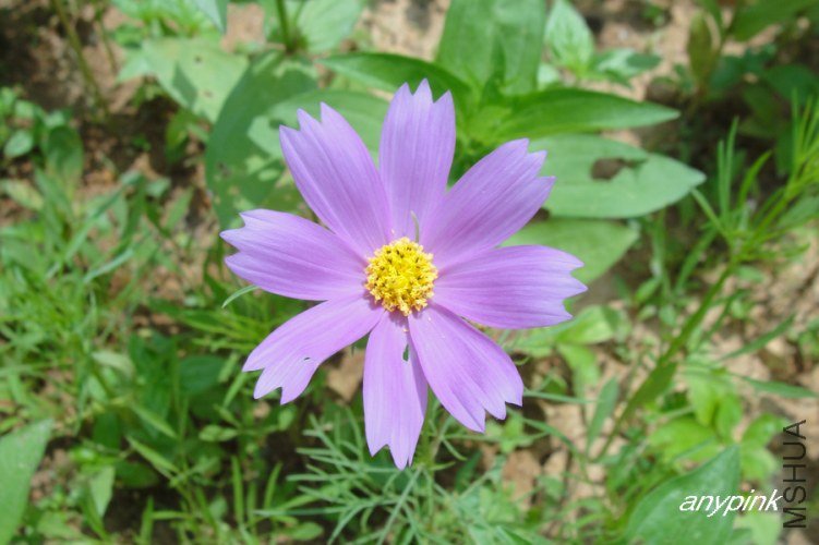 nEO_IMG_DSC04664.jpg
