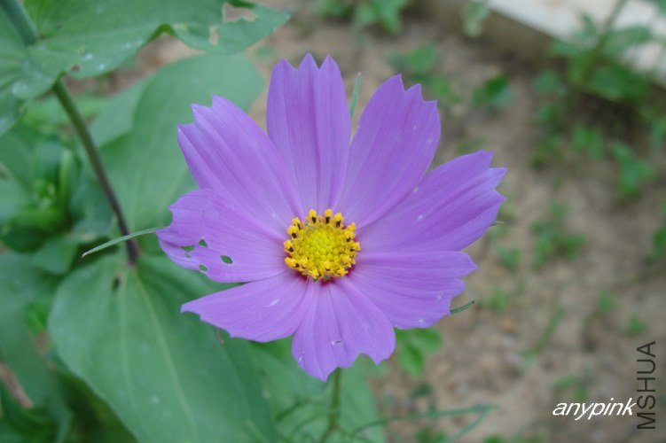 nEO_IMG_DSC04677.jpg