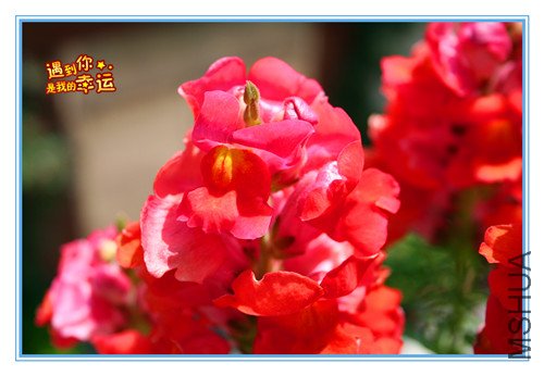 ��Ƭ 063_����4.jpg