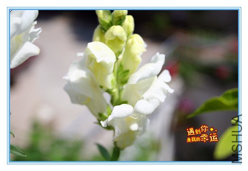 ��Ƭ 065_����5.jpg