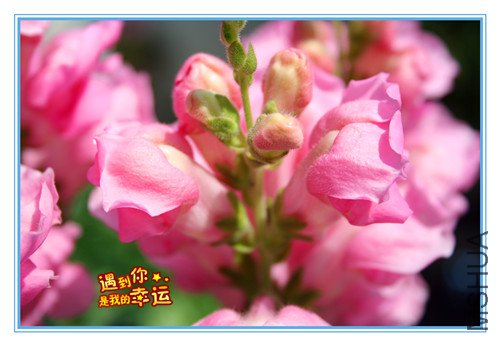 ��Ƭ 068_����6.jpg