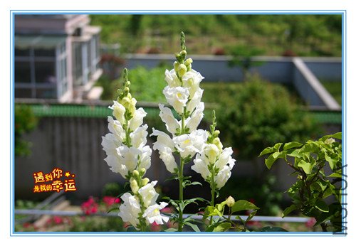 ��Ƭ 075_����2.jpg