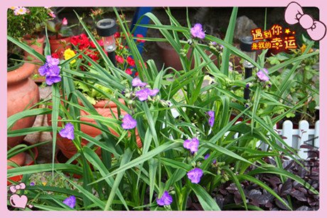 ��Ƭ 038_������_����.jpg