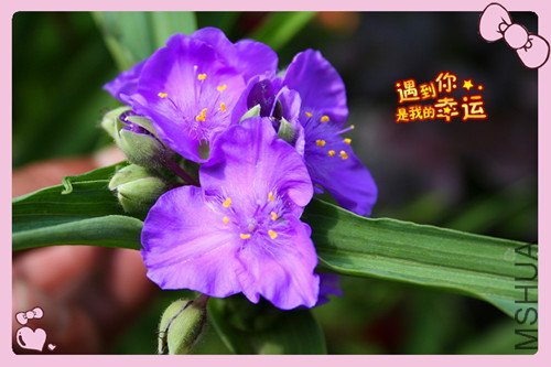 ��Ƭ 039_����2.jpg