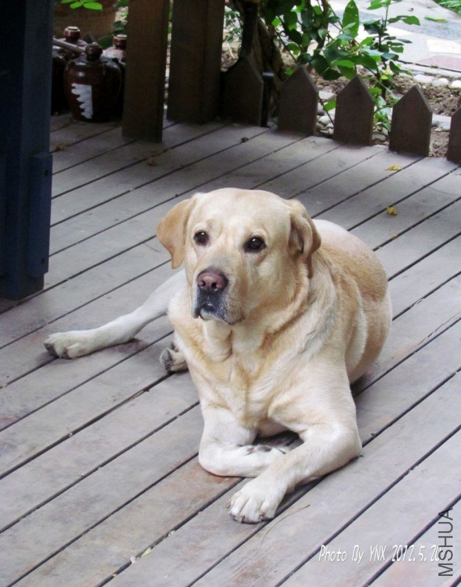 2012.5.20. 027_conew2.jpg