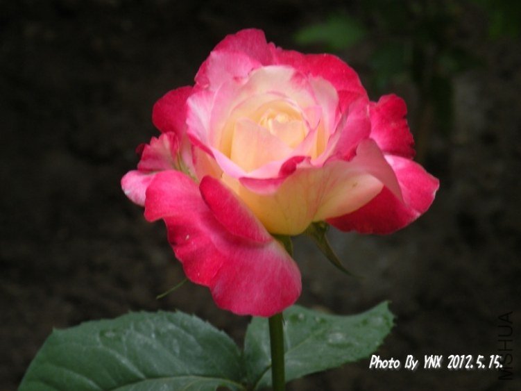 2012.5.15. 049_conew2.jpg