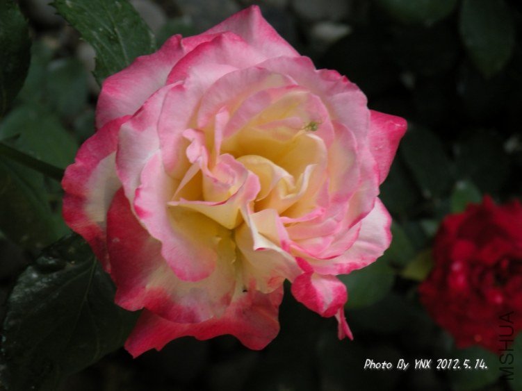 2012.5.14. 095_conew2.jpg