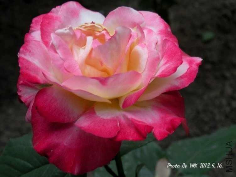 2012.5.16. 042_conew2.jpg