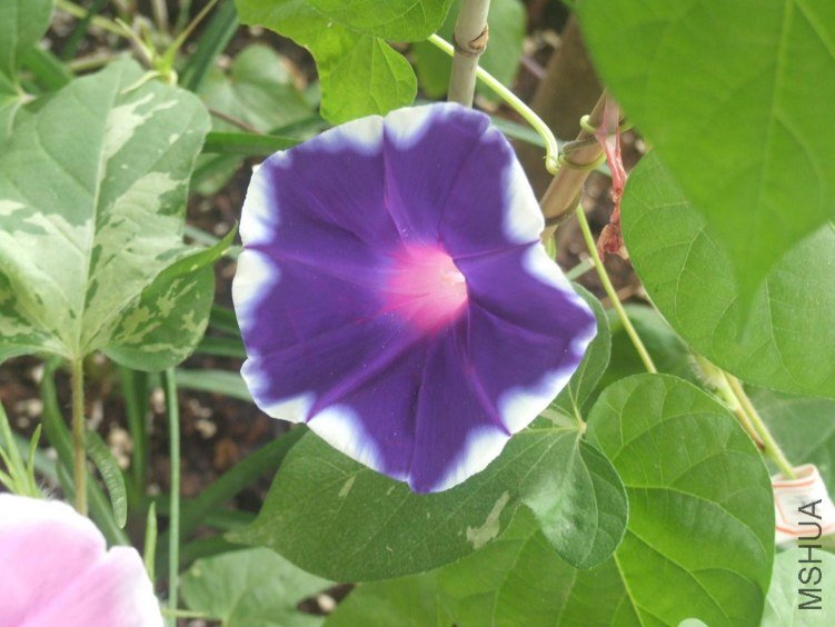 DSCF2319.JPG