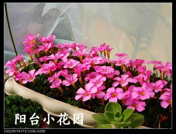 DSCN9563.jpg