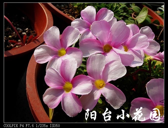 DSCN9752.jpg
