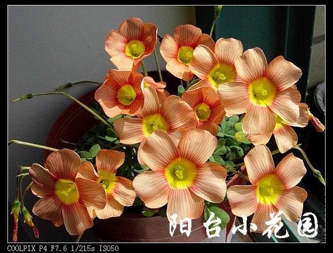 DSCN9834.jpg
