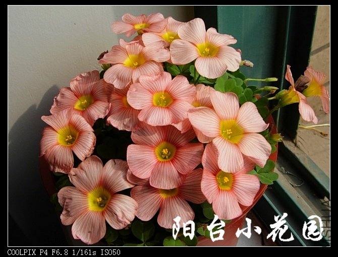 DSCN9880.jpg