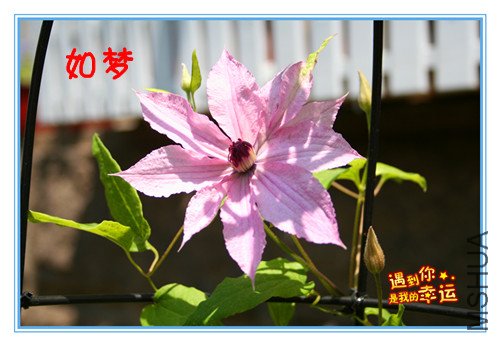 ��Ƭ 034_����.jpg