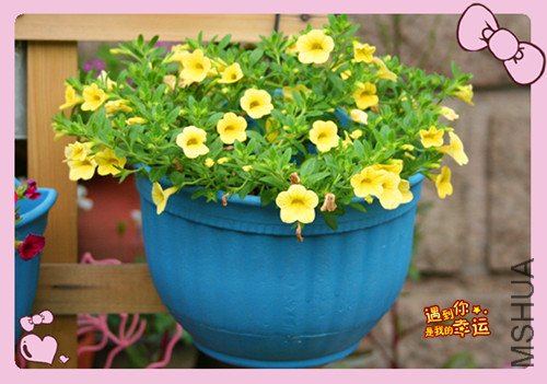 ��Ƭ 066_����9.jpg