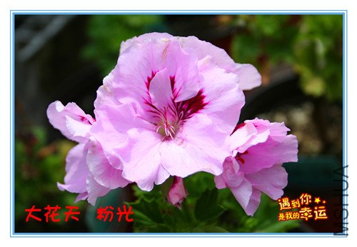 ��Ƭ 125_�������� �۹�.jpg