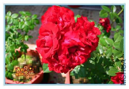 ��Ƭ 072_������1.jpg