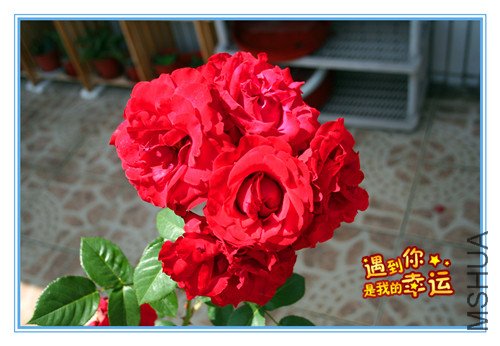 ��Ƭ 073_����2.jpg