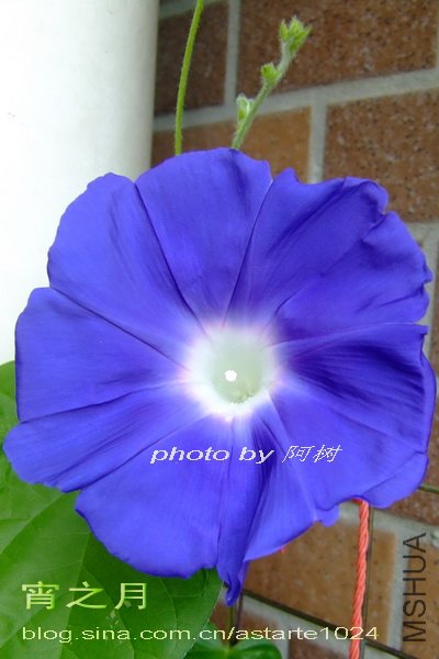 11 ��֮��.jpg