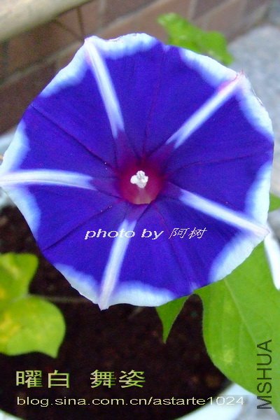 13 �װ� ����.jpg